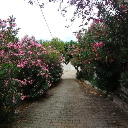 Villa Myrleia Boutique